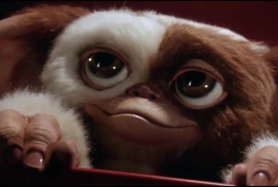 Animated Gremlins Series Given 10-Episode Order