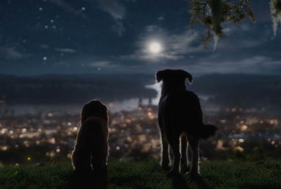 Disney+ Offers Glimpse of Live Action Lady and the Tramp