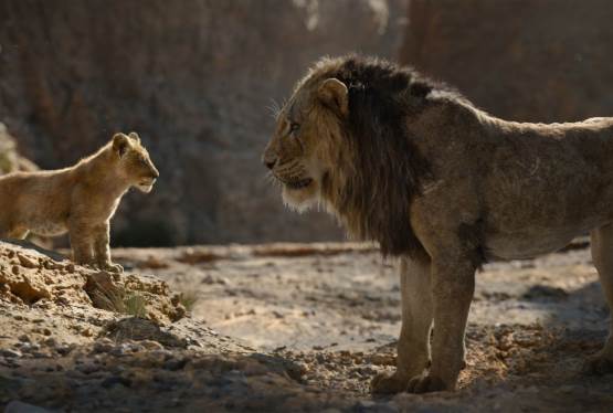 Barry Jenkins to Direct Lion King Sequel