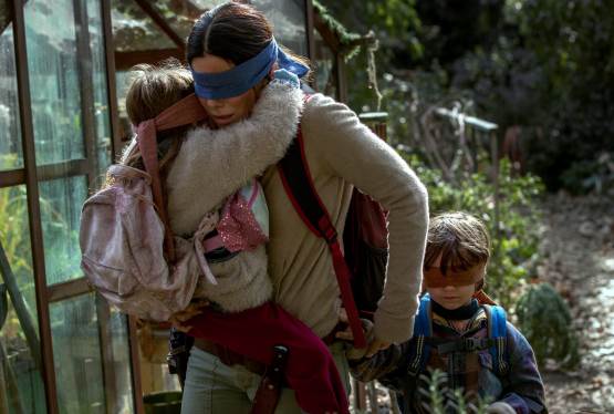 Netflix's Bird Box Getting Spanish Spinoff