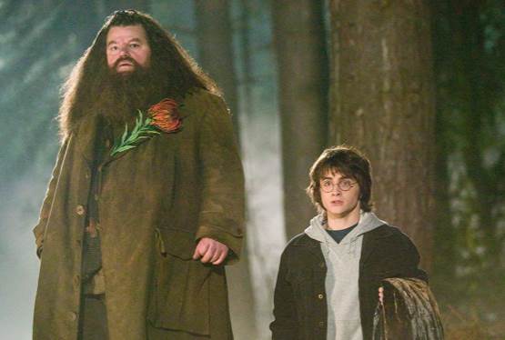 Harry Potter Actor Robbie Coltrane Dies at 72