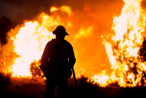 Los Angeles Premieres Canceled as Wildfires Disrupt Events