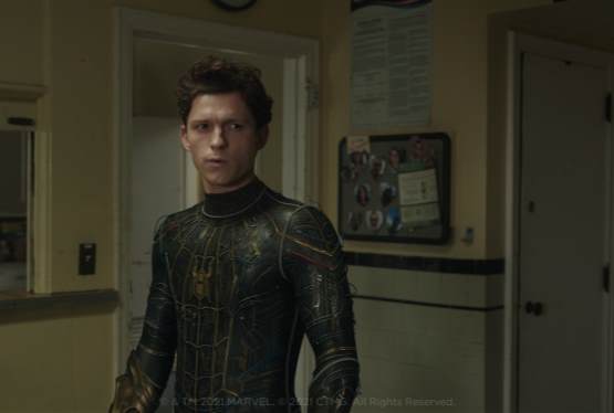 Tom Holland Suffers Concussion on Spider-Man: Brand New Day Set, Filming Pauses