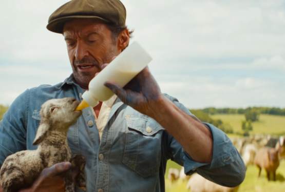 Win Free Passes to THE SHEEP DETECTIVES Advance Screenings in Florida