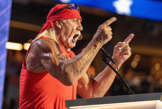 WWE Legend Hulk Hogan Dies at 71, Icon of Wrestling and Pop Culture
