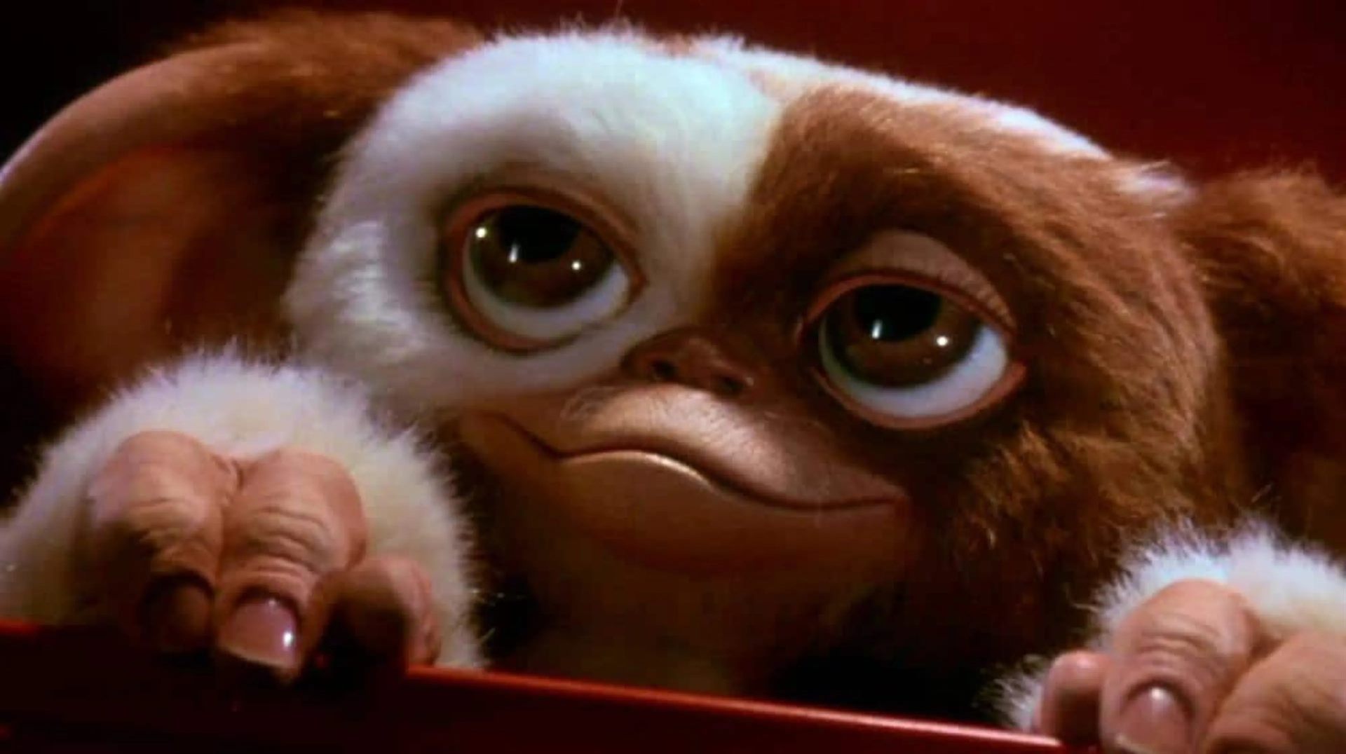 'Gremlins 3' Set for 2027 Release with Chris Columbus Directing, Spielberg Producing