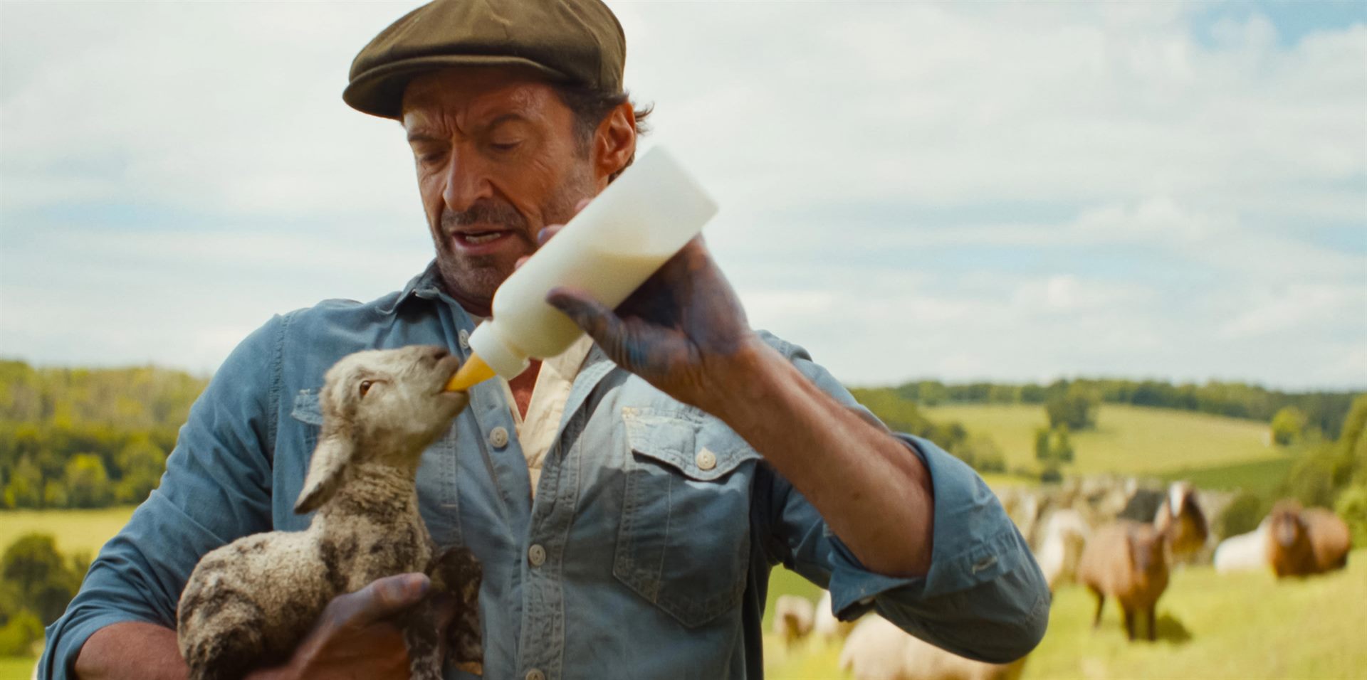 Win Free Passes to THE SHEEP DETECTIVES Advance Screenings in Florida