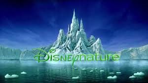 Natalie Portman to Narrate Disneynature's Dolphin Reef