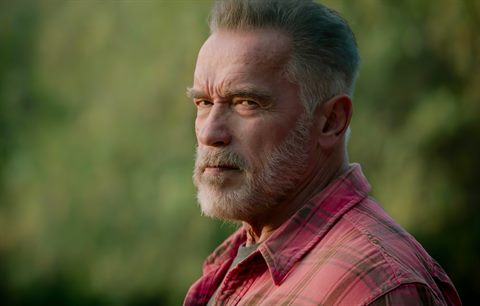 Cast Announced for Netflix's Upcoming Schwarzenegger Series
