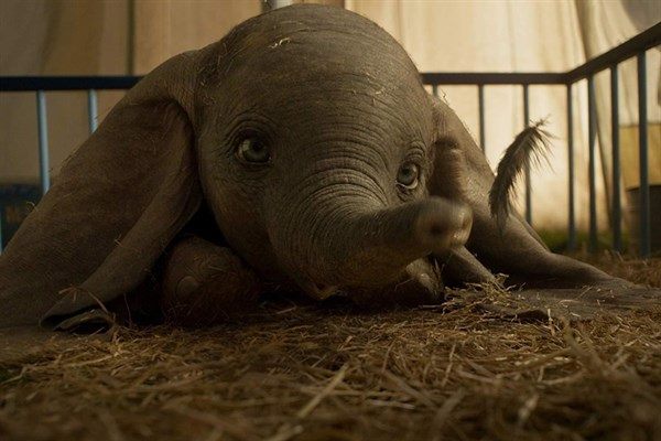 Disney Offering Sneak Peeks of Dumbo Beginning This Weekend