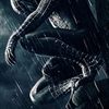 Spider-man Will Still Spin A Web After Next Summer
