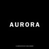 Hans Zimmer Composes Song for Aurora Victims