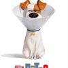 Share Your Pet's Photo and Lives on New Secret Life of Pets 2 Website
