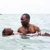Apple to Release Six Films a Year in Bid for Oscar Worthy Films