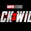 Marvel Announces New Slate of Films and Series to Be Released