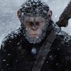 Disney to Release New Planet of the Apes Film