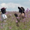 The Color Purple Returns to Theatres This February for Special Event