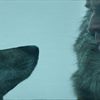 Disney Plus Releases Content Lineup for UK Launch