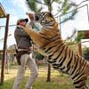 Tiger King Draws Record Breaking Numbers for Netflix