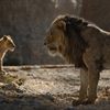 Barry Jenkins to Direct Lion King Sequel