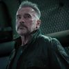Schwarzenegger Series Given Eight Episode Order by Netflix