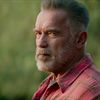Cast Announced for Netflix's Upcoming Schwarzenegger Series