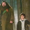 Harry Potter Actor Robbie Coltrane Dies at 72