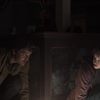 HBO Renews The Last of Us for a Second Season
