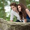 Lionsgate TV Developing Twilight TV Series