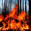 California Wildfires Update: Widespread Devastation and Mandatory Evacuations