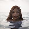 Exclusive Early Access: Dive Into the Undersea Magic of Disney's Live-Action 'The Little Mermaid' - Claim Your Advance Screening Pass Now!