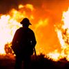 Los Angeles Premieres Canceled as Wildfires Disrupt Events