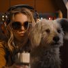 Milk-Bone Soars Into a New Partnership with Supergirl’s Krypto