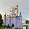Panic Erupts at Disney World's Magic Kingdom After Fight and Balloon Pop Lead to False Active Shooter Rumors