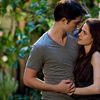 Twilight: Breaking Dawn Part 2 Theater Shooting Threat Leads to Arrest
