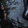 Unveiling 'Prey': A Riveting Predator Universe Prequel Arrives on 4K UHD, Blu-ray, and DVD on October 3rd!