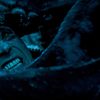 Win Free Passes to See Whalefall Early in Miami and Orlando
