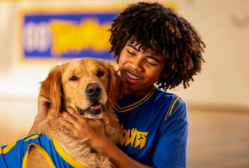 News: Dog-Friendly Air Bud Screenings Offer First Look at Air Bud Returns