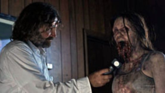 Interview: Exploring Daylight Horror in The Walking Dead with Cinematographer David Boyd on FlickDirect