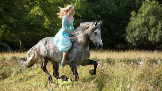 Interview: For The Love of Birds! Cinderella’s Head Animal Trainer, Guillaume Grange on FlickDirect