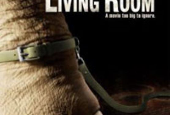 One of the Largest Growing Sub Cultures of Today’s Is Owning Exotic Animals, The Elephant In The Room Explores That World