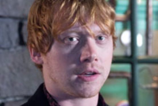 Harry Potter Cast Answers Fan Questions At Harry Potter Event at Universal Studios, Florida