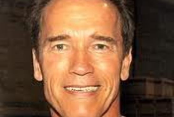Schwarzenegger and Satllone Team Up for The Tomb