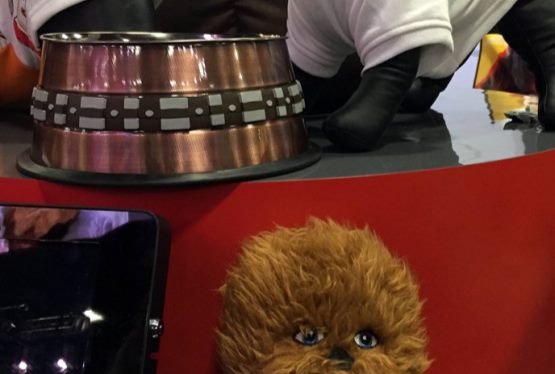 Petco Debuts New Star Wars Pet Accessories at Comic Con 2015