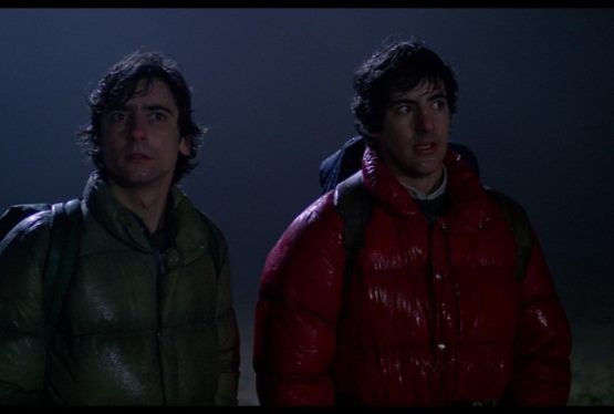 An American Werewolf in London to Get Reboot