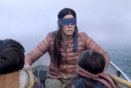 Netflix Issues a Statement Regarding Birdbox Challenges