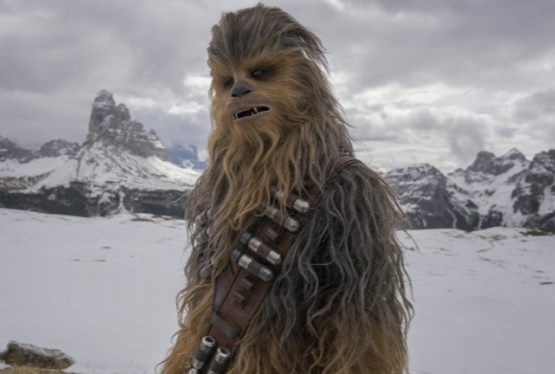 Chewbacca Actor Peter Mayhew Dies at 74