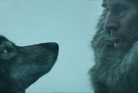 Disney Plus Releases Content Lineup for UK Launch