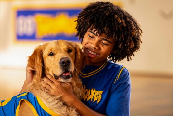 Dog-Friendly Air Bud Screenings Offer First Look at Air Bud Returns