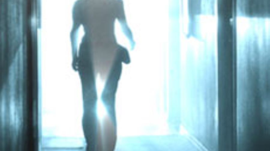 "Lost Soul" to Be Released in Spring of 2009